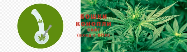 мяу мяу мука Зеленокумск