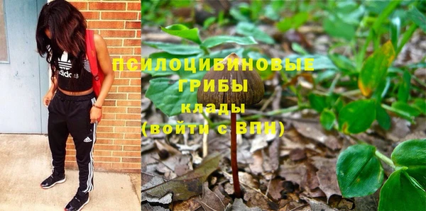 метадон Инта
